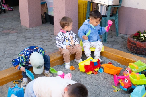 Activități zilnice